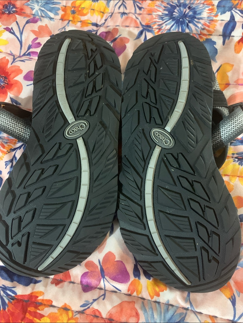 Chaco - Picture 3 of 8